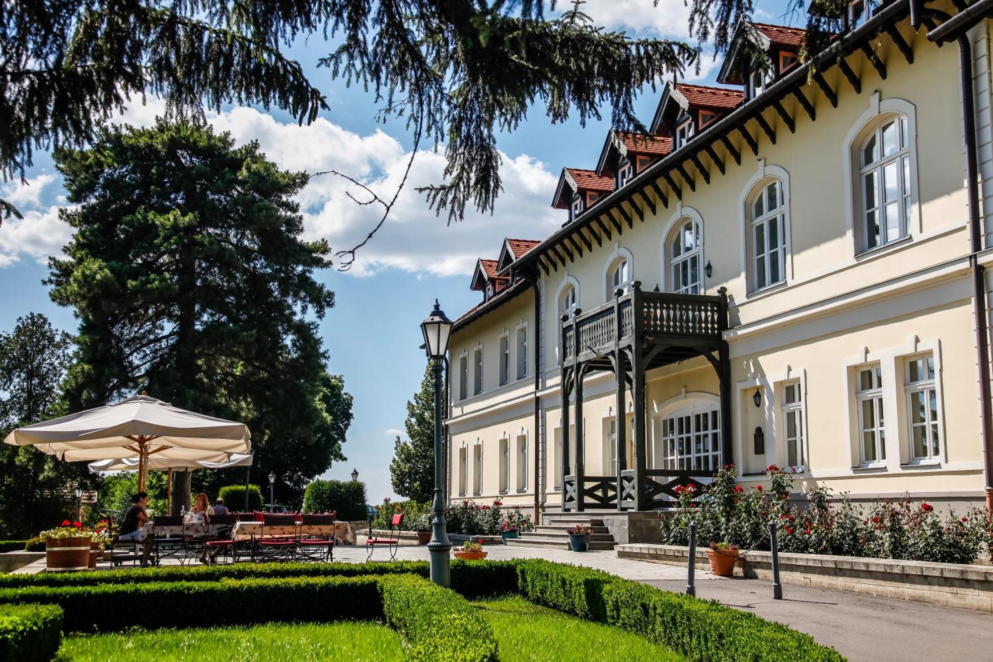 Castle Hotel Grof Degenfeld Superior Tarcal Εξωτερικό φωτογραφία