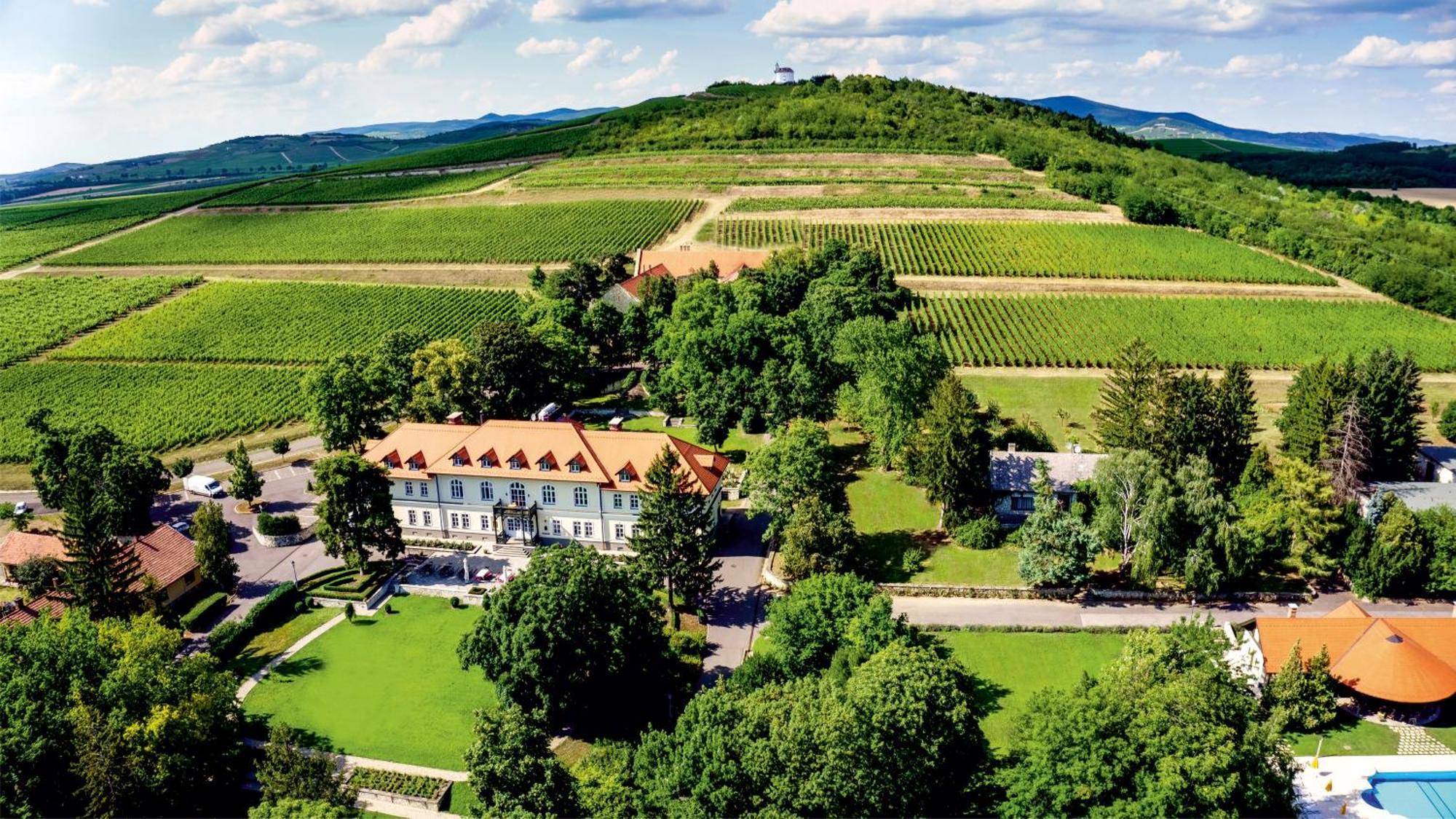 Castle Hotel Grof Degenfeld Superior Tarcal Εξωτερικό φωτογραφία