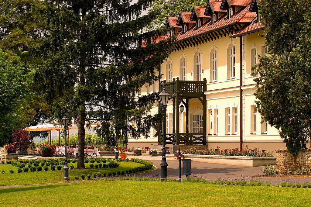 Castle Hotel Grof Degenfeld Superior Tarcal Εξωτερικό φωτογραφία
